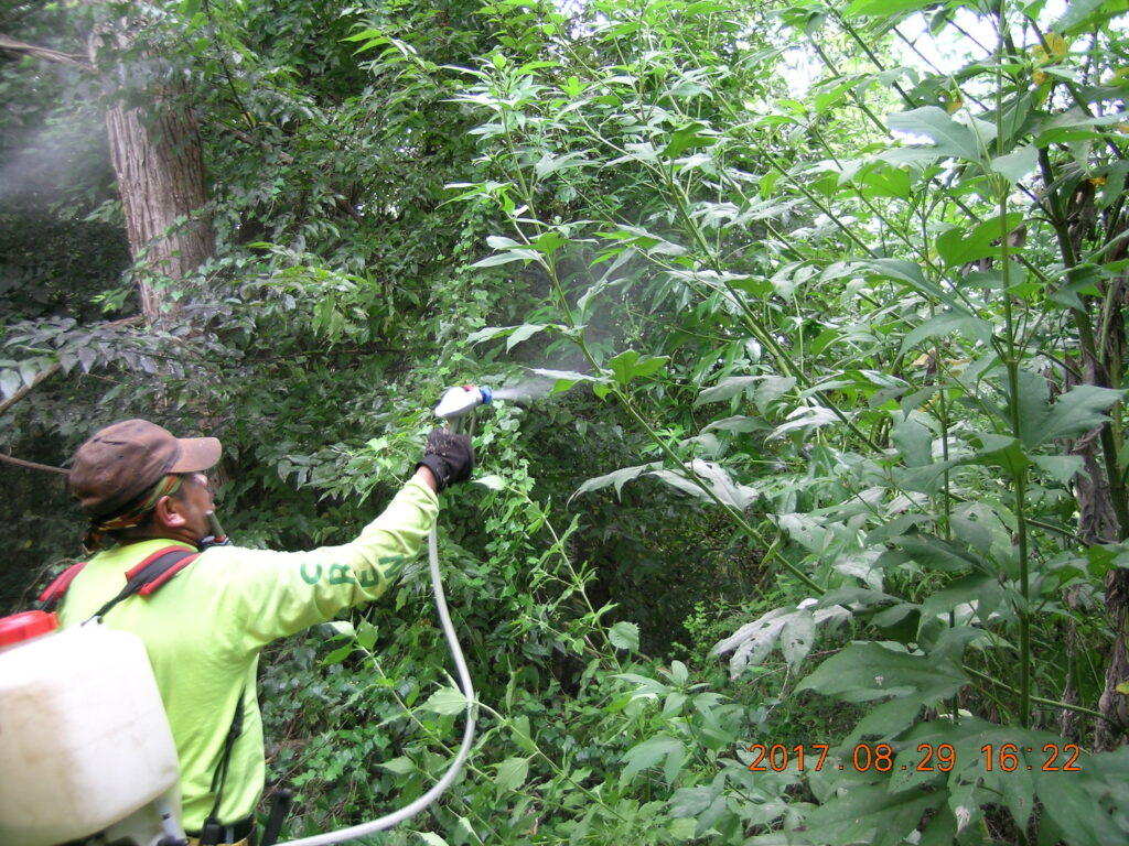 This is the fan spray nozzle in use